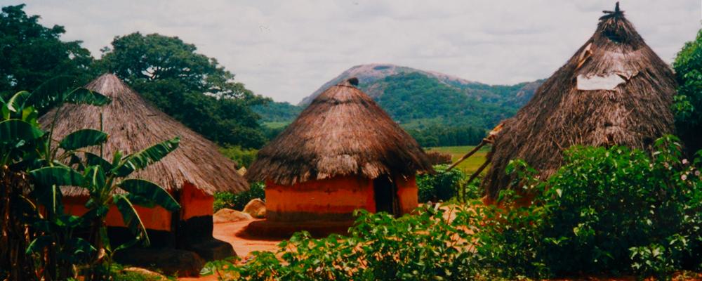 Thatched huts on Nyandirwi